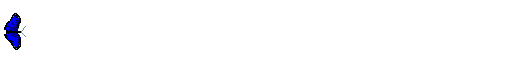 bflyani