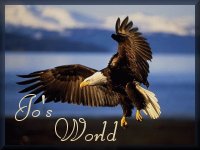 Enter Jo's World
