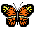 jbfly1